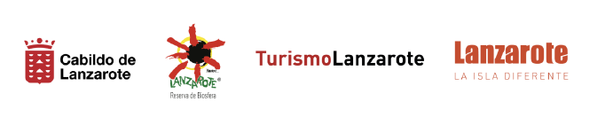 Convocatoria de empleo Técnico/a Analista de datos Turismo de Lanzarote Cabildo-Lanzarote